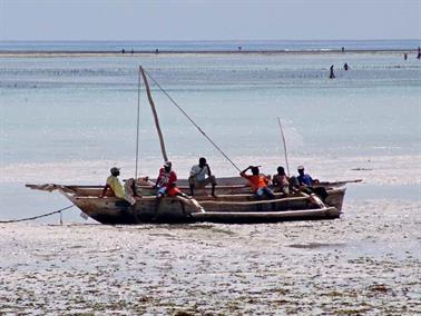 Hotel Dreams of Zanzibar, Hotelstrand, DSC07426b